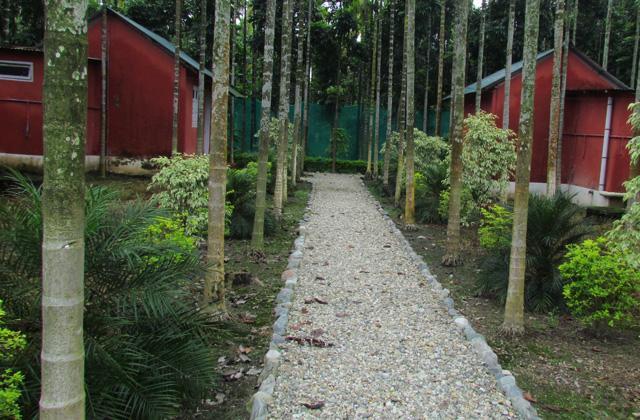 Resort Jayanti Hills Jungle Camp Rajabhat Khawa Buitenkant foto