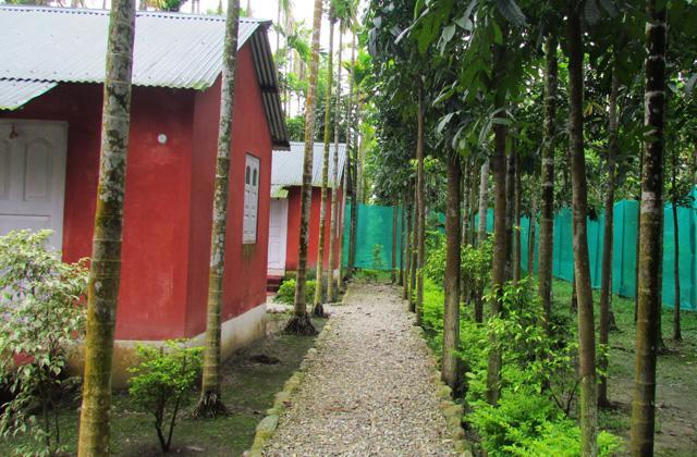 Resort Jayanti Hills Jungle Camp Rajabhat Khawa Buitenkant foto